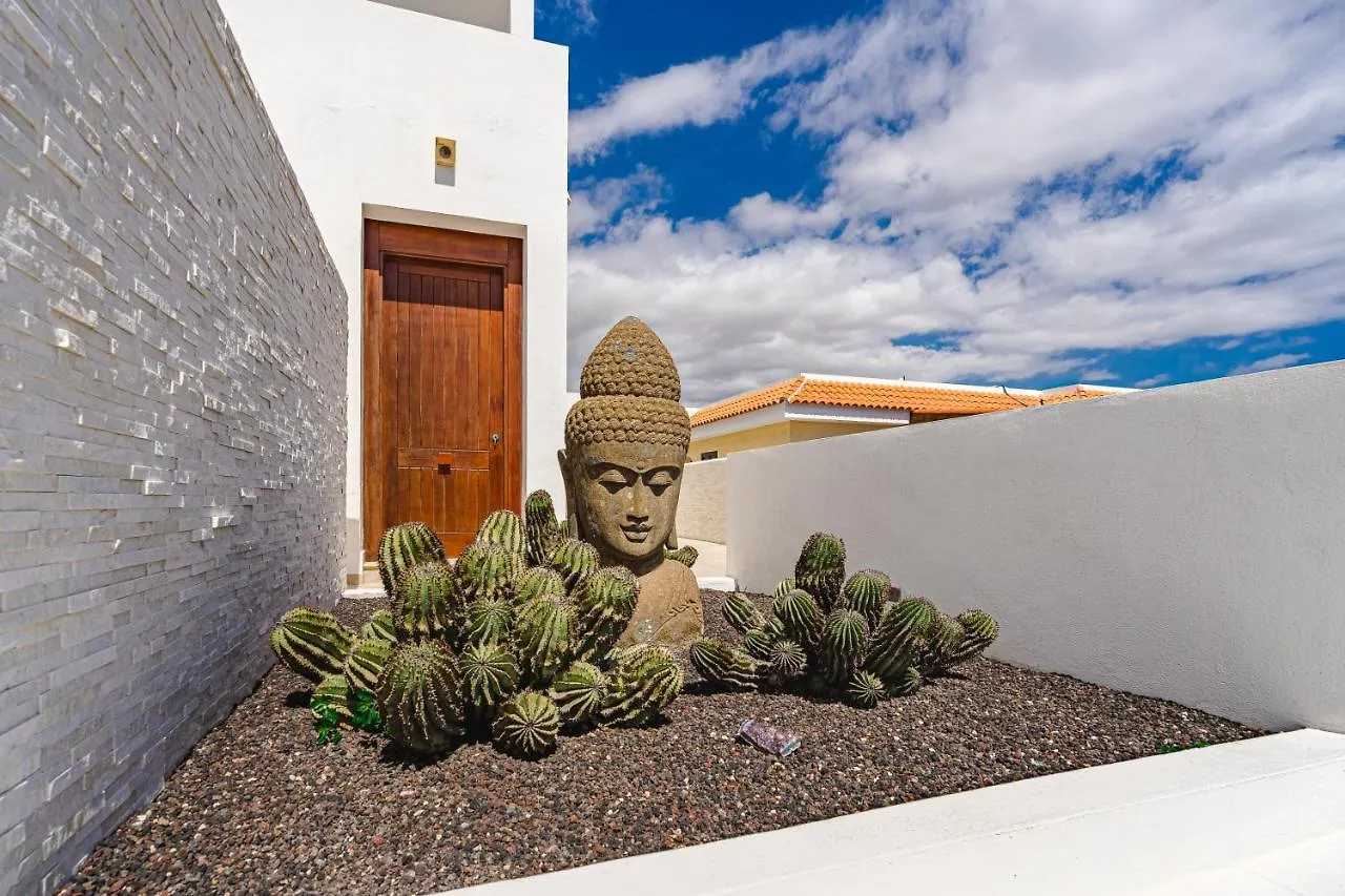 Modern 3Bdr Villa With Heated Pool El Medano  Spain